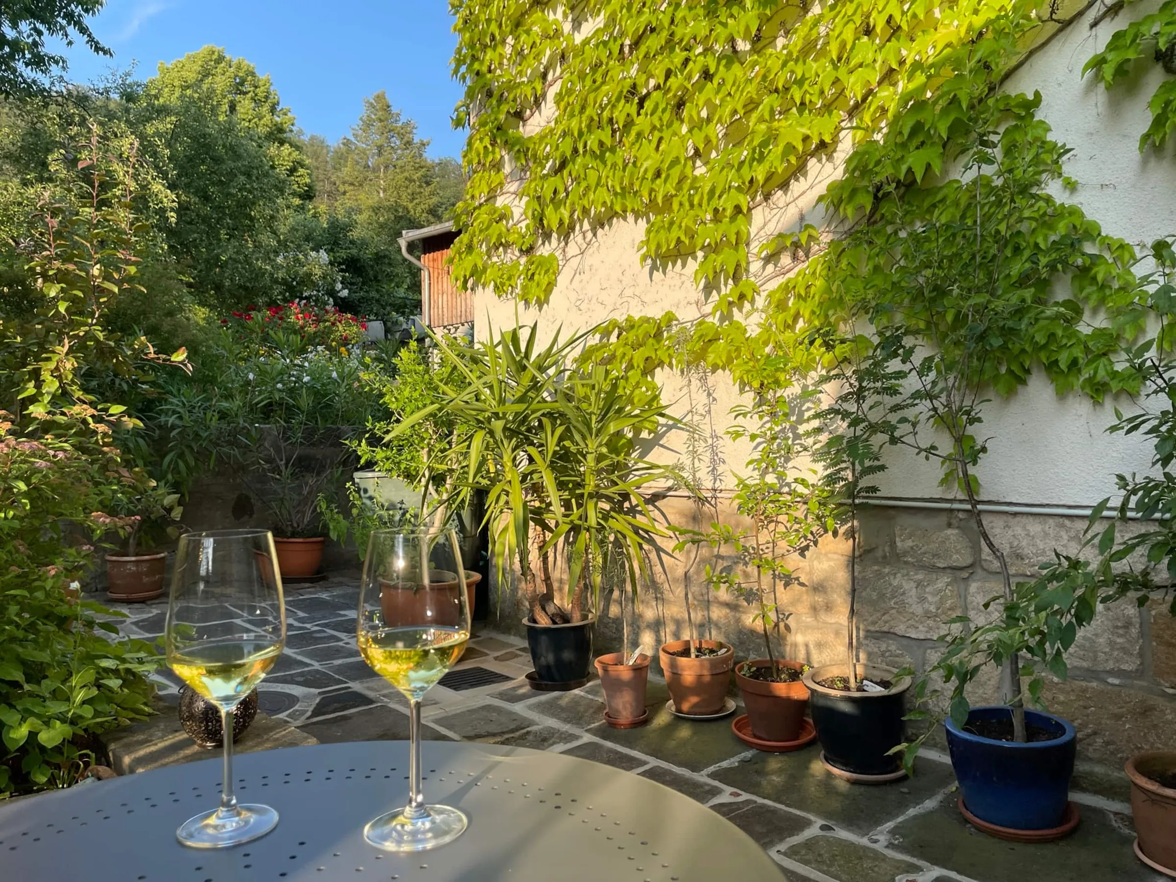 Terrasse und Garten am Tag