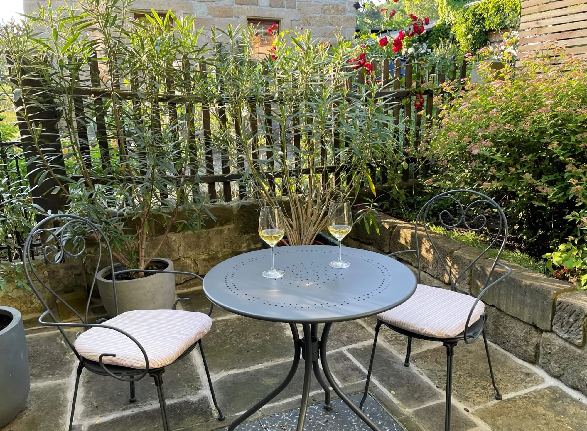 Terrasse mit Eingang und Bepflanzung