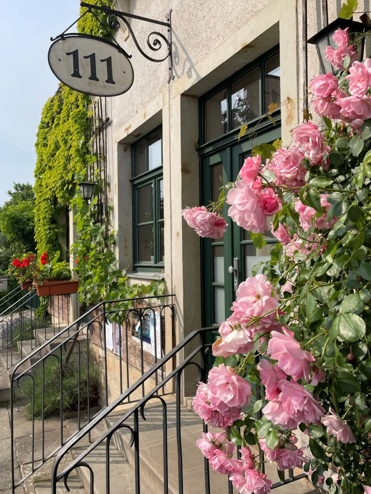 Außenbereich am Haus mit Grün und Steinmauer