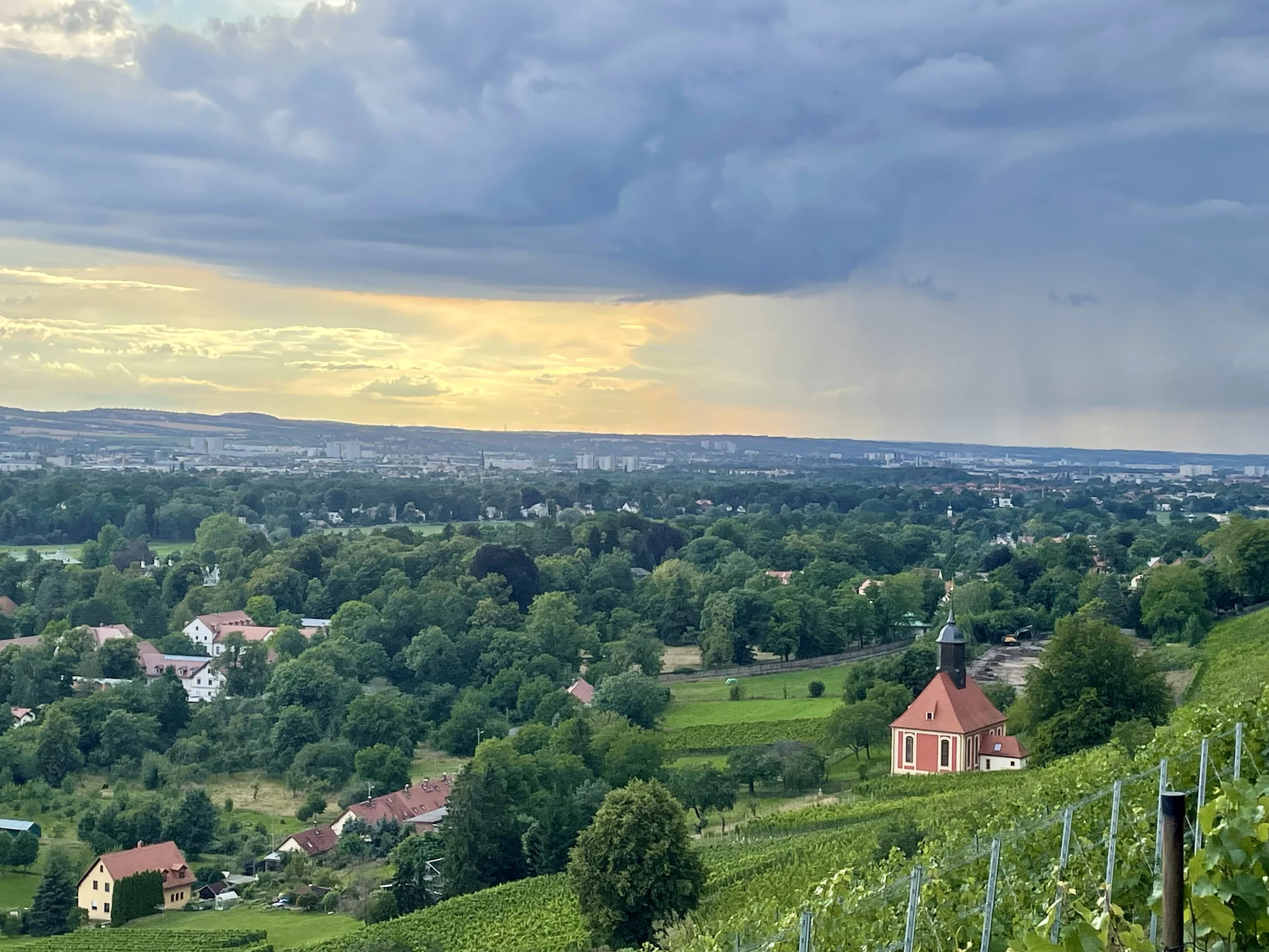 Blick über den Dresdner Elbhang mit Weinbergen, Weinbergkirche und der Stadt im Hintergrund